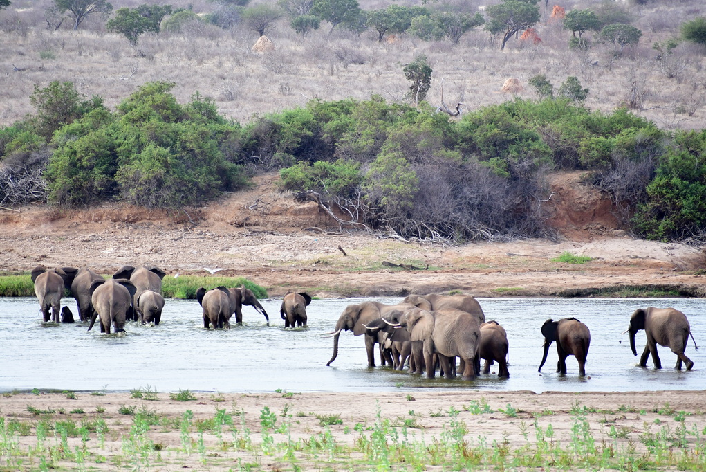 Tsavo East National Park